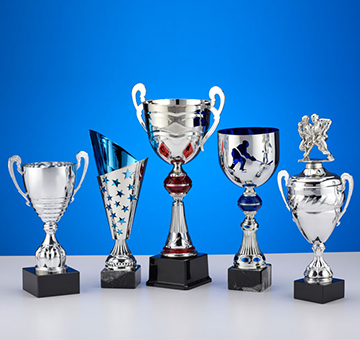 Premium Trophies in T Nagar Chennai